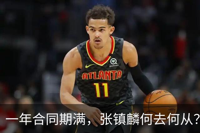一年合同期满，张镇麟何去何从？两条路可走，看上海诚意如何了